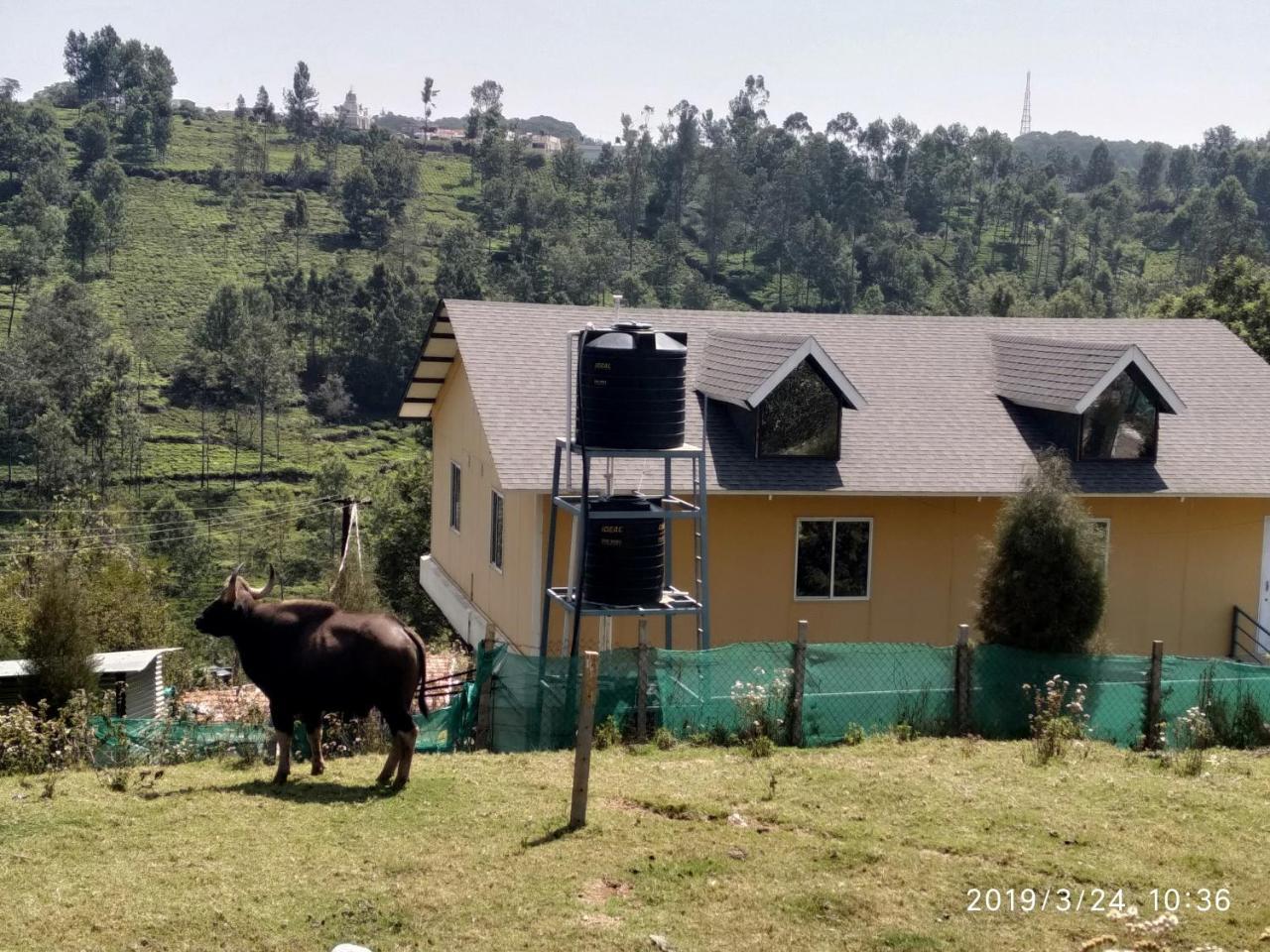 Myspace Holiday Inn Ooty Exterior foto